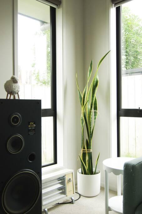 House In Hamilton Villa ภายนอก รูปภาพ